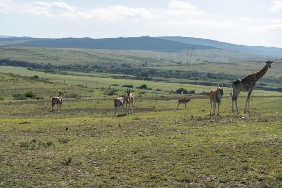  Bedroom Property for Sale in Mossel Bay Rural Western Cape